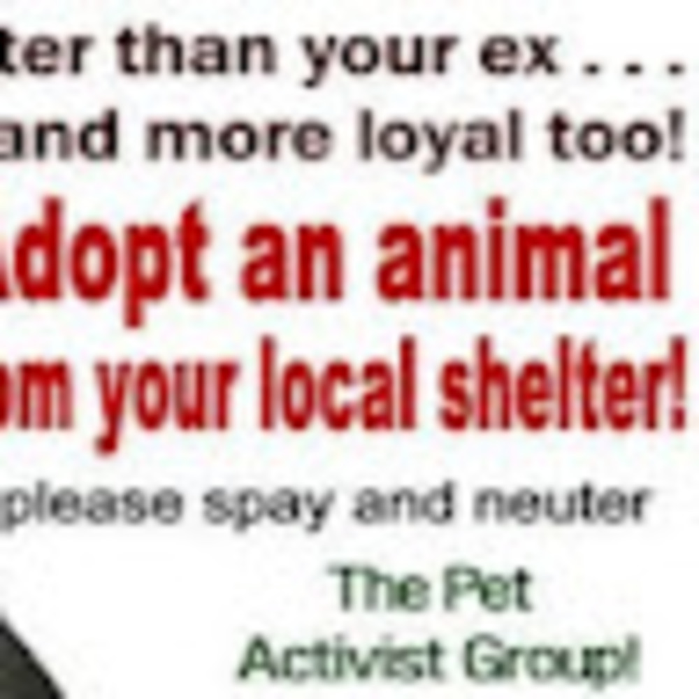 Meet your Posher, Pamela